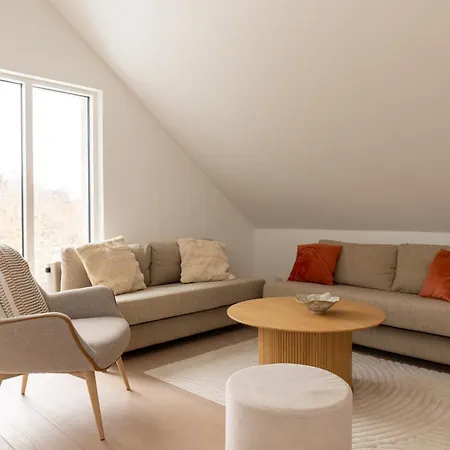 Sunlit Loft In Valby With Parking For 8 Apartment